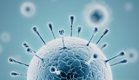 sars cov 2 image sm horizontal